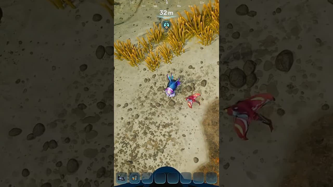 Official Subnautica YouTube Short thumbnail showing two small unnamed creatures in shallow Subnautica 2 water